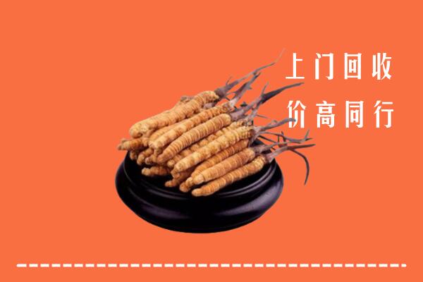 高价求购：丁青县回收散虫草