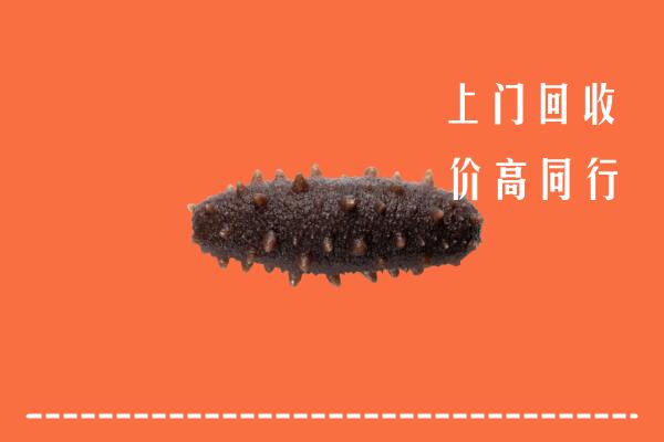 高价求购：丁青县回收海参
