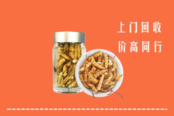 丁青县回收冬虫夏草
